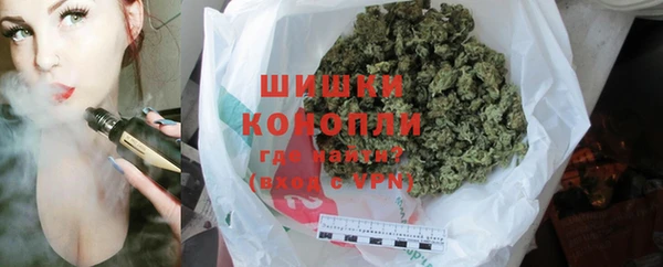 ПСИЛОЦИБИНОВЫЕ ГРИБЫ Алзамай