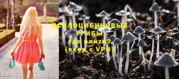 ПСИЛОЦИБИНОВЫЕ ГРИБЫ Алзамай