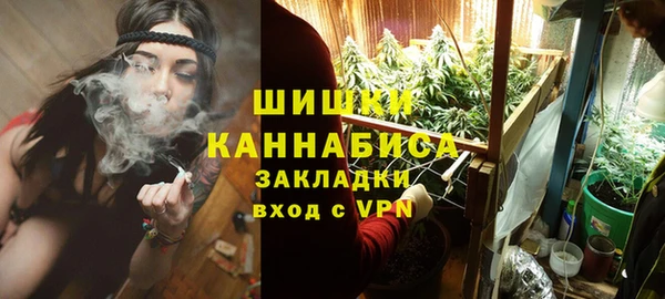 ПСИЛОЦИБИНОВЫЕ ГРИБЫ Алзамай