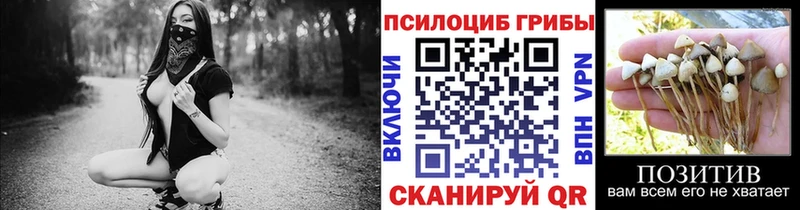 где можно купить   hydra ONION  Псилоцибиновые грибы Cubensis  Добрянка 